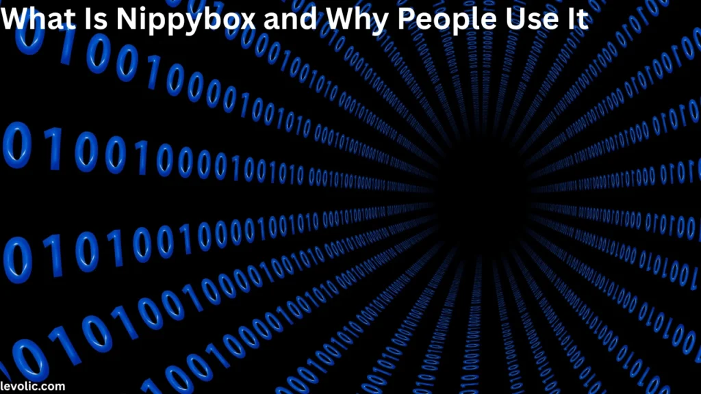 What Is Nippybox and Why People Use It