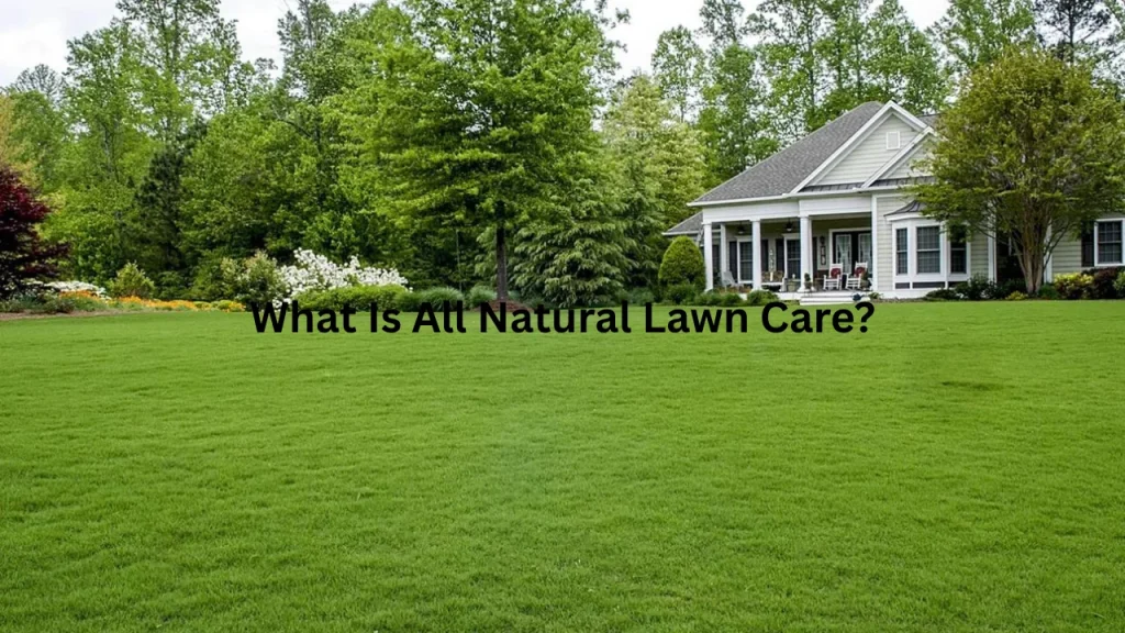What Is All Natural Lawn Care